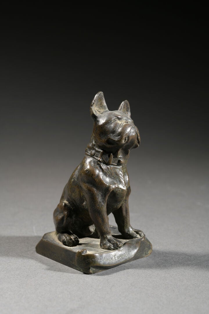 Paul Edouard DREUX (1855-1947), d'après - Bouledogue - Epreuve en bronze à pati…