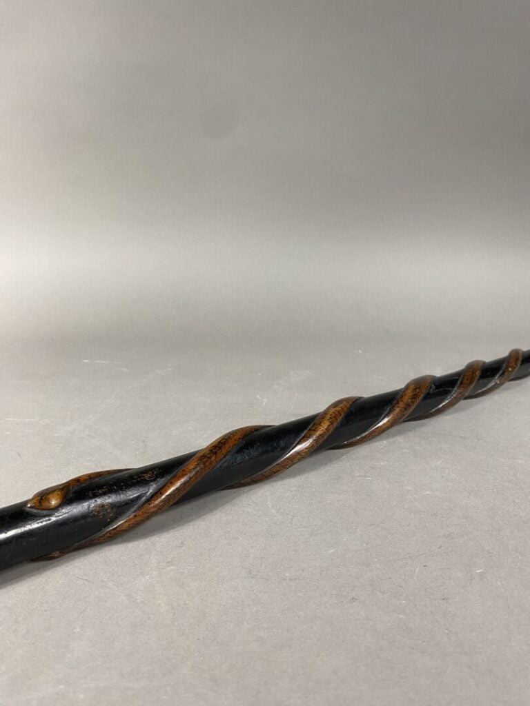 Canne à fût en bois noirci sculpté torsadé de deux serpents stylisés et pommeau…