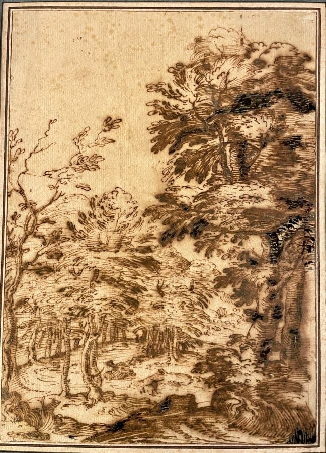 Ecole italienne XVIIème - "Paysage de forêt" - Dessin à l'encre et lavis - (Man…