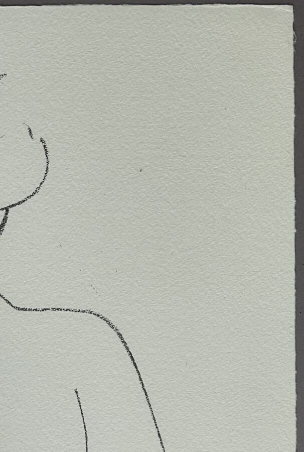 Henri MATISSE (1869-1954) - Nu assis de dos, 1949 - Lithographie sur vélin, sig…