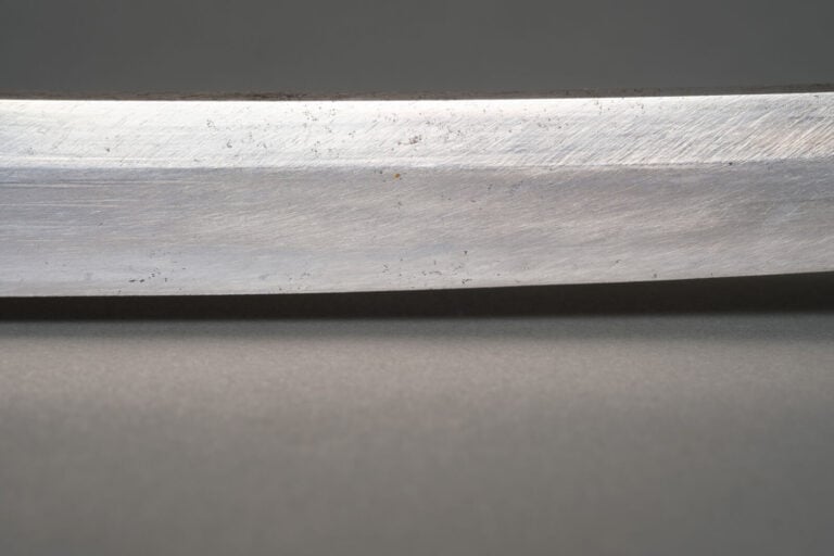 JAPON. XVIIIe siècle (période Edo) - SABRE Wakizashi Shinto en koshirae laqué m…