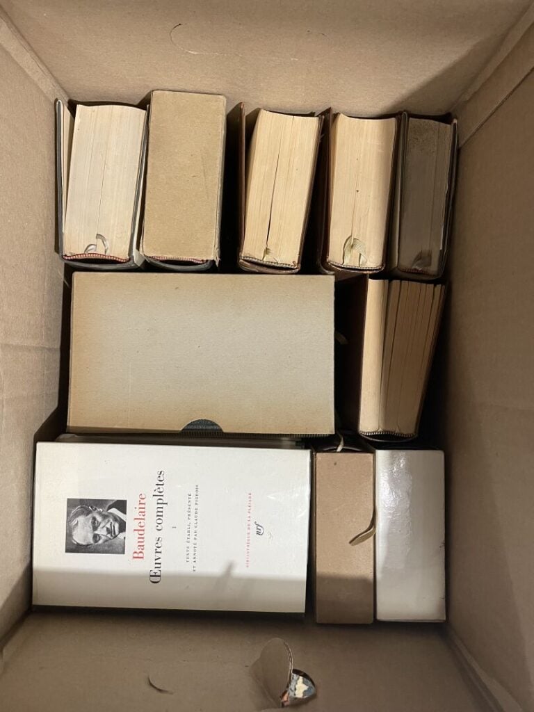 Lot de volumes de La Pléiade comprenant notamment Baudelaire, Proust, La Bible,…