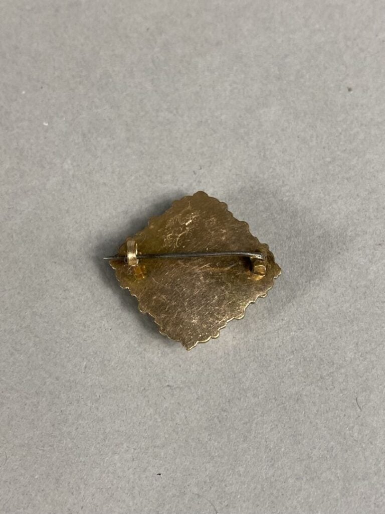 Petite broche en or jaune (375) contenant un camé profil de femme