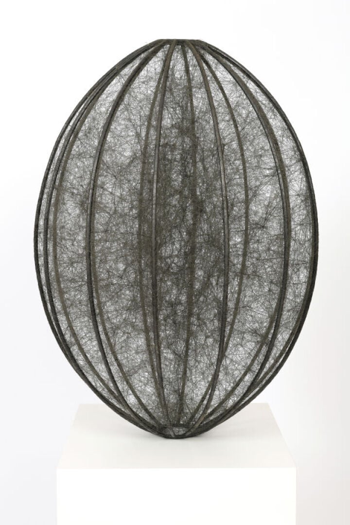 Chiharu SHIOTA (1972) - State of Being (Ellipsoid), 2011 - Métal et fils - H :…
