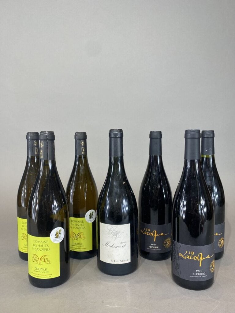 Ensemble de bouteilles de vin comprenant: - - Domaine des Hauts de Sanziers, Sa…