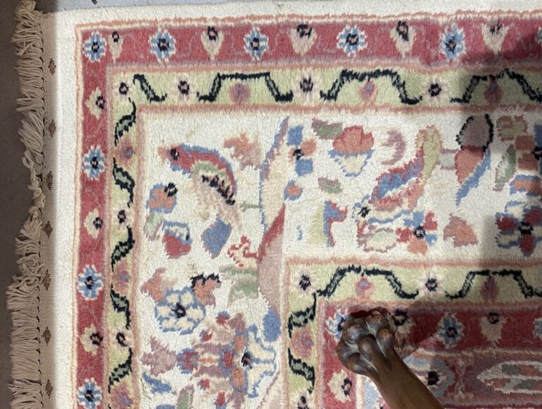 Inde, dans le style Penjab - Tapis en laine à décor polychrome d'oiseaux, feuil…