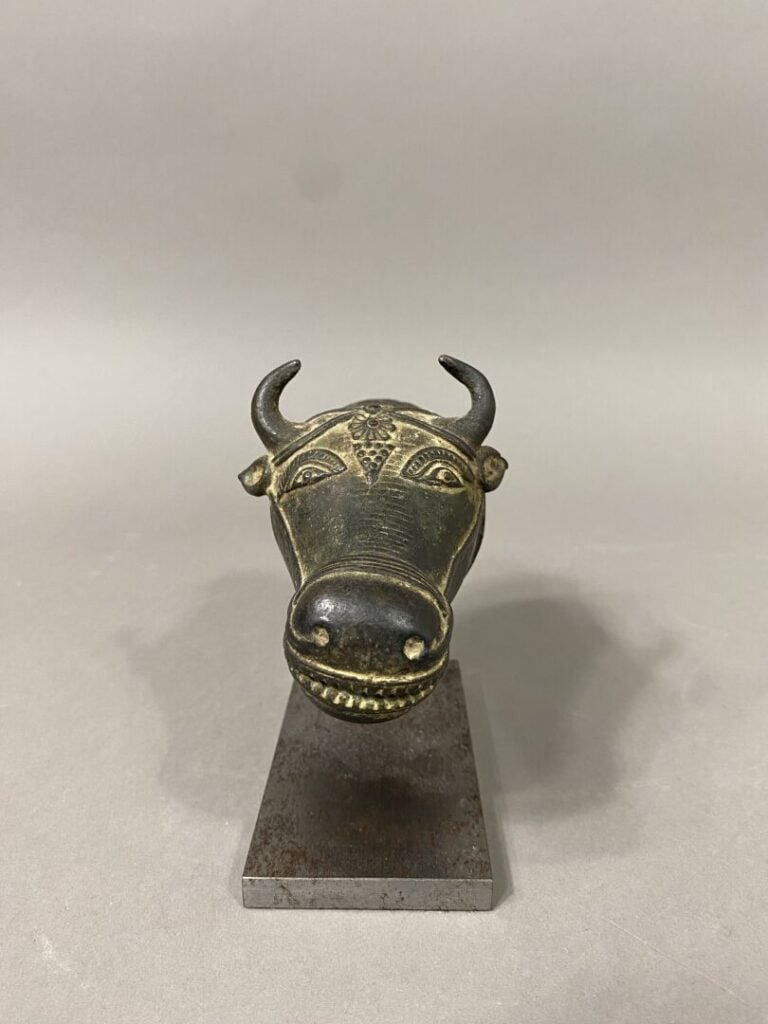 Inde - Sculpture en bronze formant une tête de bovin - Fixé sur un socle - L: 1…