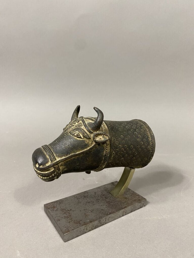 Inde - Sculpture en bronze formant une tête de bovin - Fixé sur un socle - L: 1…