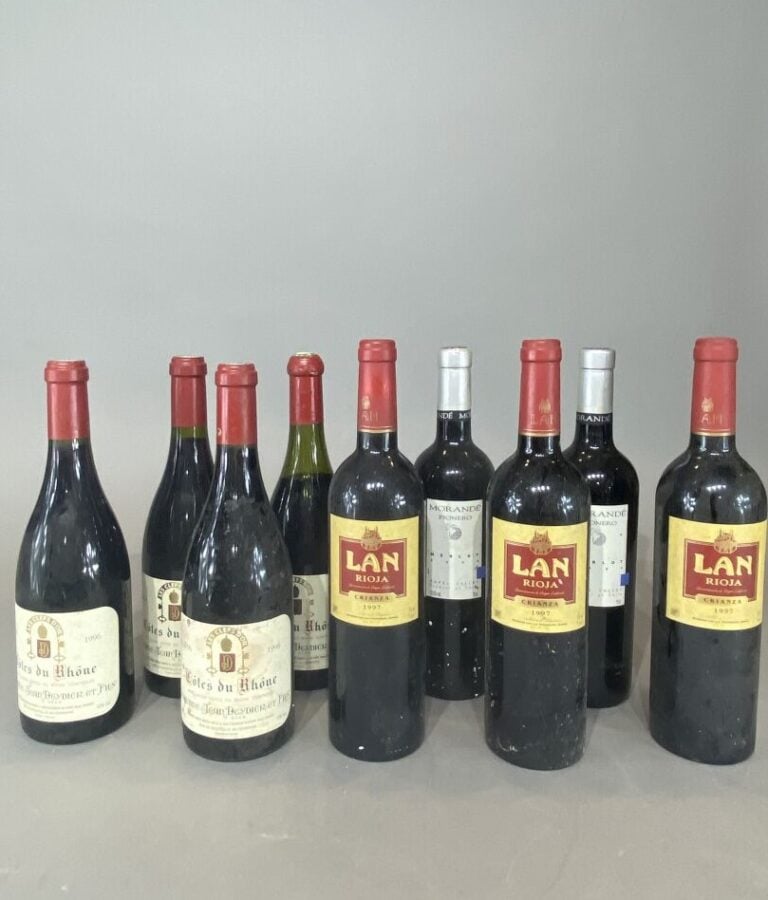 Lot de bouteilles de vins comprenant : - - Lan Rioja, Crianza, 1997 (3 bouteill…