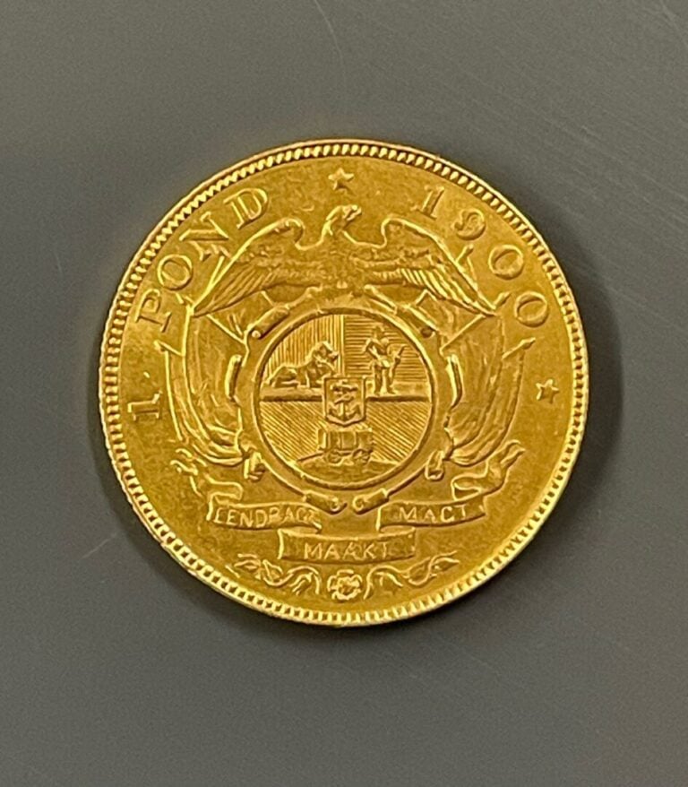 AFRIQUE DU SUD - Une pièce de 1 pond or, 1900 - Poids : 7.9 g
