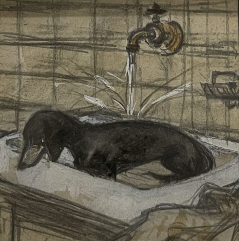 ECOLE XXème - "Études de chiens : teckels et griffon" - 5 études dans un même e…