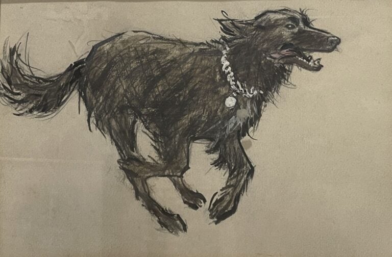 ECOLE XXème - "Études de chiens : teckels et griffon" - 5 études dans un même e…