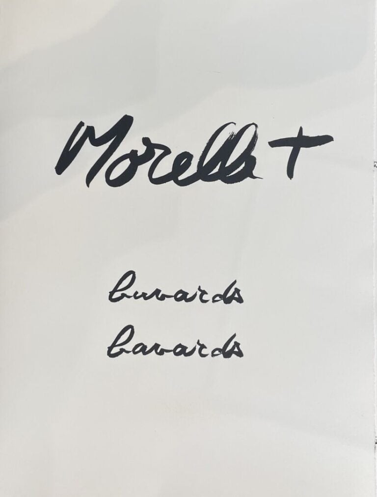 MORELLET François (1926-2016) - Buvards, bavards, 1991 - Portfolio de 12 sérigr…