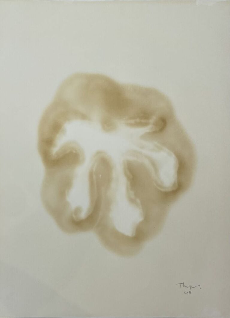 THUPINIER Gérald (né en 1950) - Sans titre, 2011 - Acrylique, crayon gras et fu…