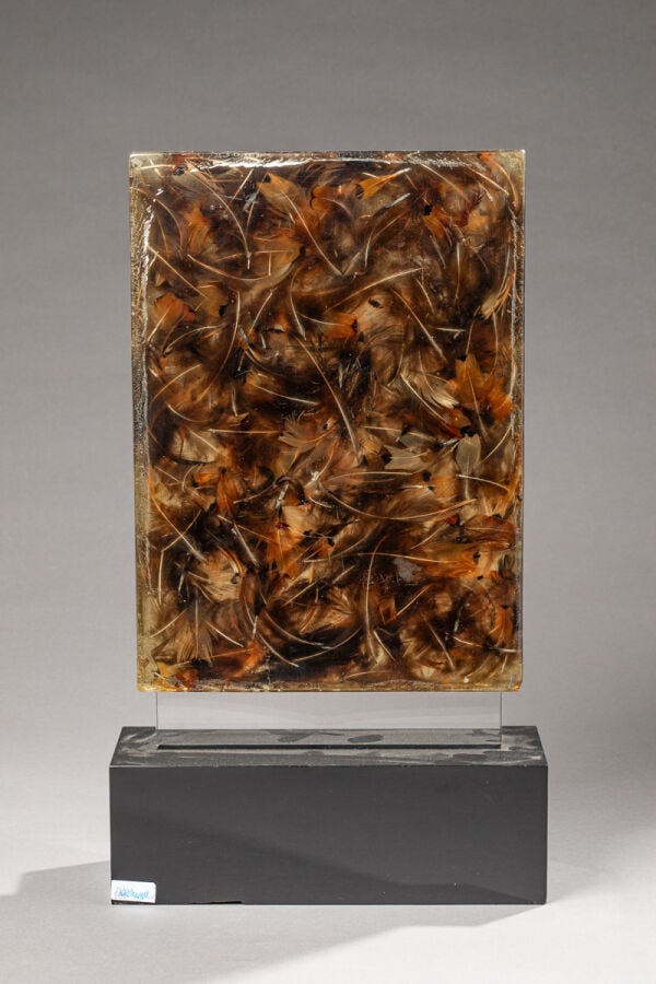ARMAN(1928-2005) ARMAND FERNANDEZ dit - Accumulation de plumes, 1967 - Accumula…