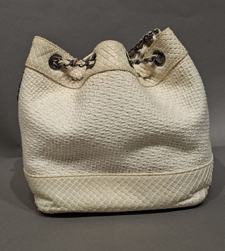 CHANEL - Sac bourse en tissu tweed blanc et python crème, porté épaule, anse ch…