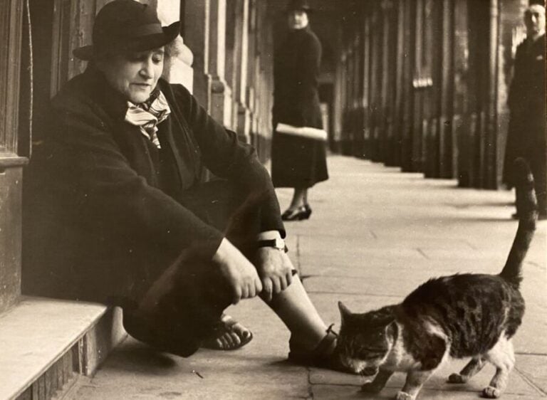 SERGE LIDO 1906-1984 - Colette et un chat au Palais-Royal, Paris, ca.1950. - Ph…
