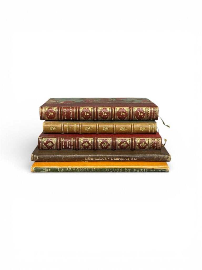 Lot de livres - CH PERRAULT L'oublieux - TURCARET, Le Sage - De MAISTRE Xavier,…
