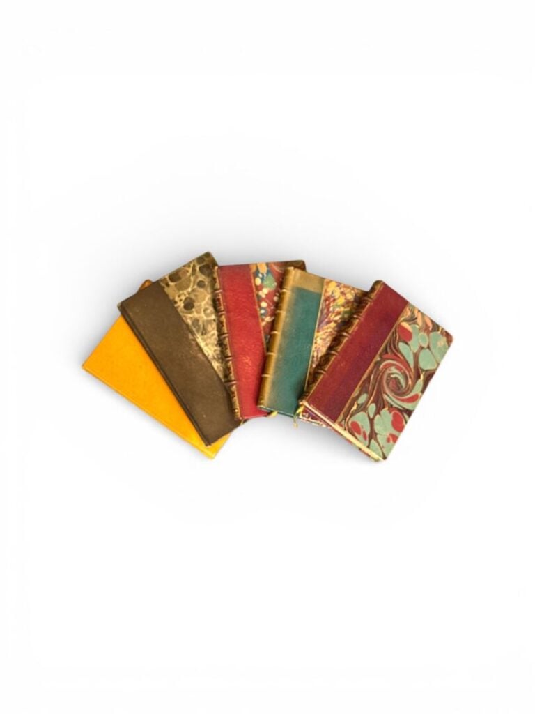 Lot de livres - CH PERRAULT L'oublieux - TURCARET, Le Sage - De MAISTRE Xavier,…