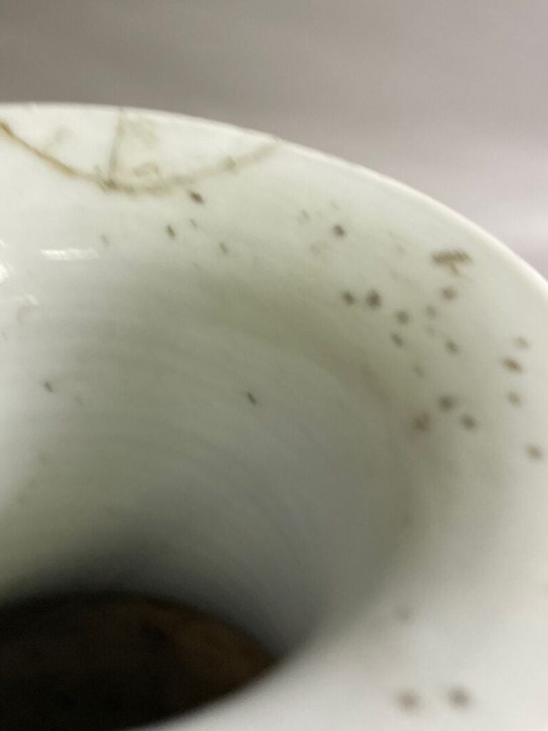 CHINE - Réunion de porcelaine comprenant : - - un vase rouleau à décor de perso…