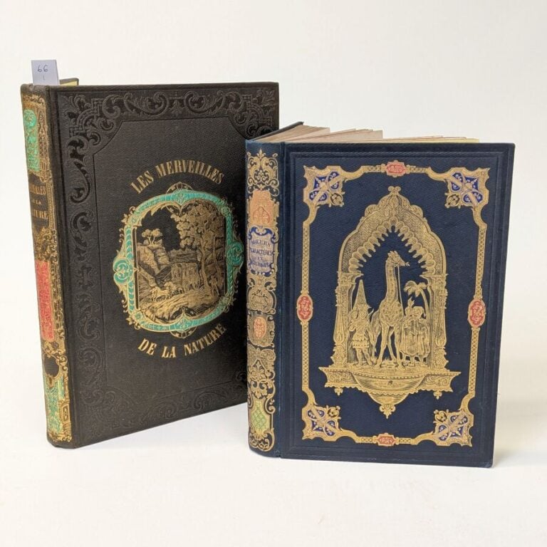 2 cartonnages romantiques polychromes et personnalisés / Les Merveilles de la N…
