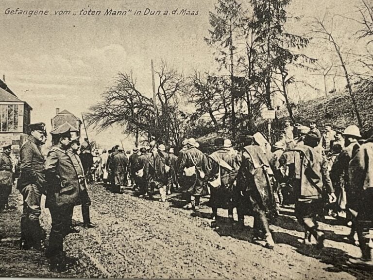 CPA/CPSM/CPM - Régionalisme : Albums sur la Meuse dont Varennes et Stenay (Hote…