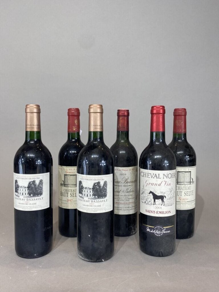 Ensemble de bouteilles de vins comprenant : - Château Saint Georges, Saint Emil…