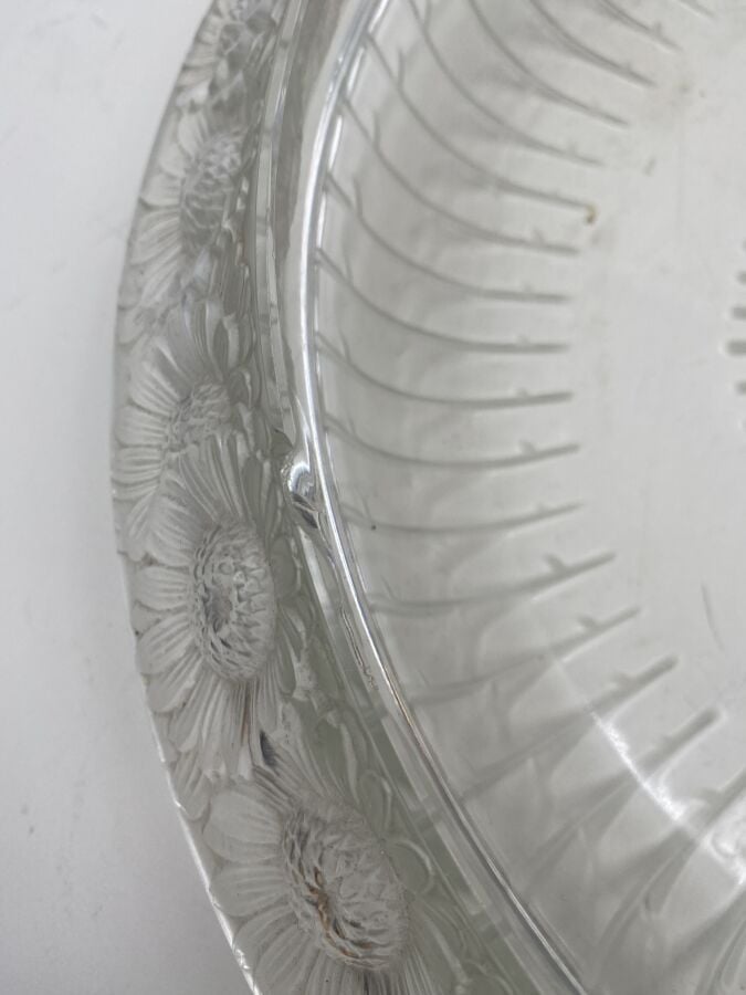 LALIQUE - Coupe en verre moulé pressé "marguerites" (accidents sur le rebord) -…