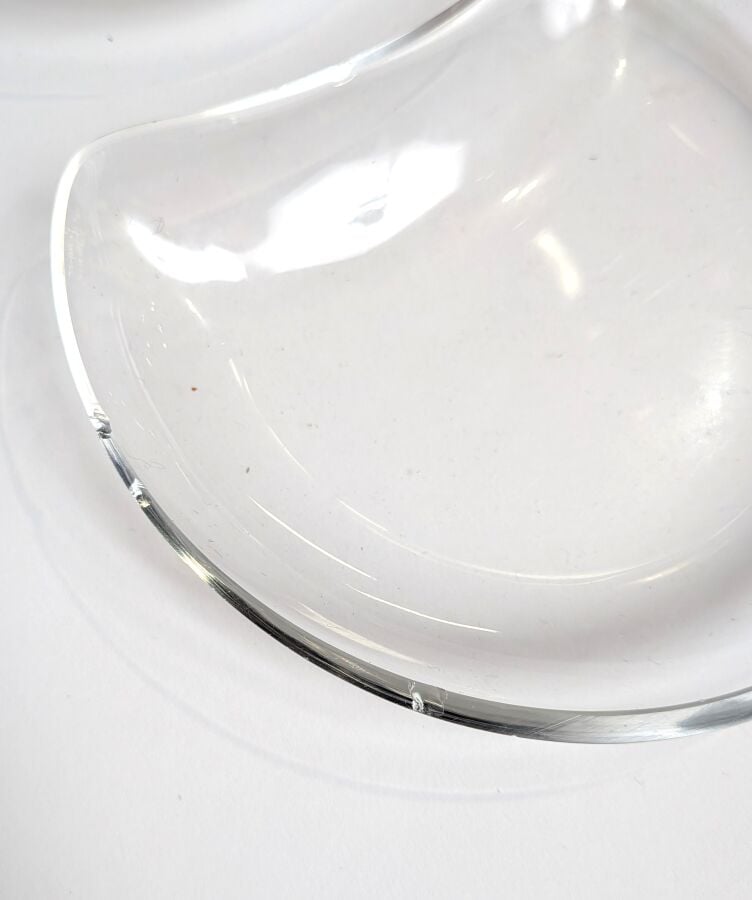 René LALIQUE - Ensemble de 7 assiettes à salade en verre moulé (petites égrenur…