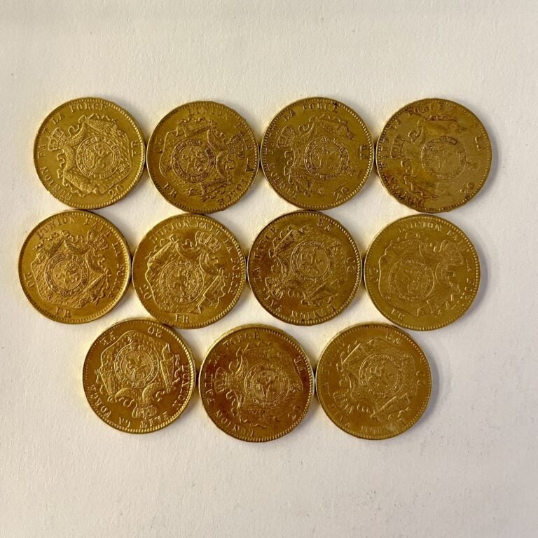 11 pièces de 20 francs or Belge Léopold II (1869,1870,1874,1875,1877,1878). Poi…