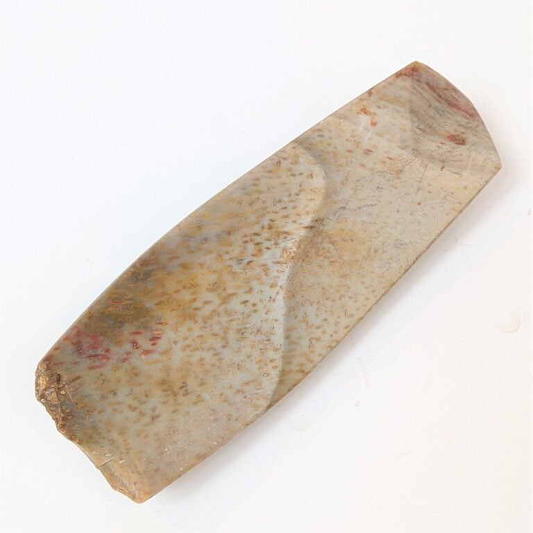 Belle hache-herminette à profil caréné et lame concave. - Corail fossilisé marb…