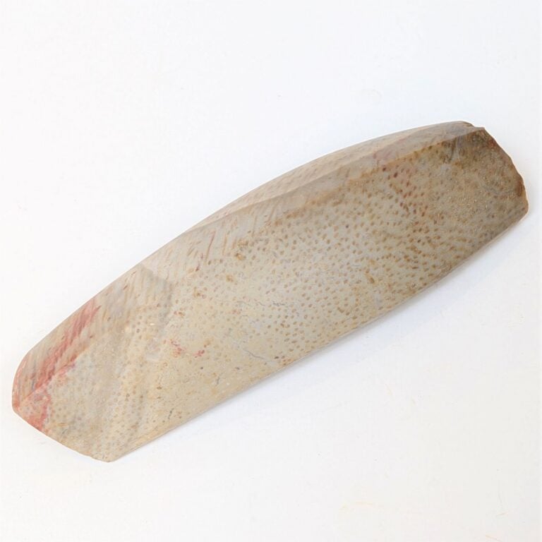Belle hache-herminette à profil caréné et lame concave. - Corail fossilisé marb…