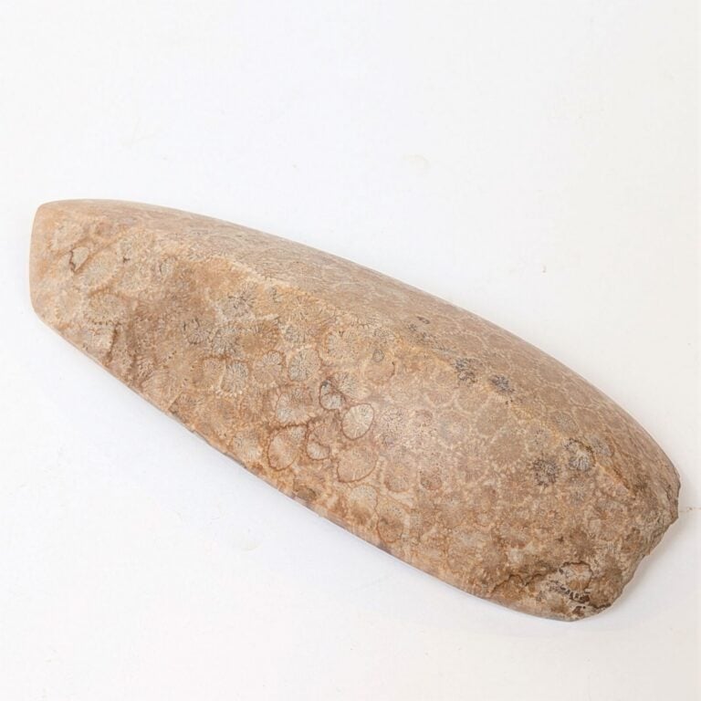 Hache-herminette à profil caréné et lame concave. - Corail fossilisé. - Indonés…