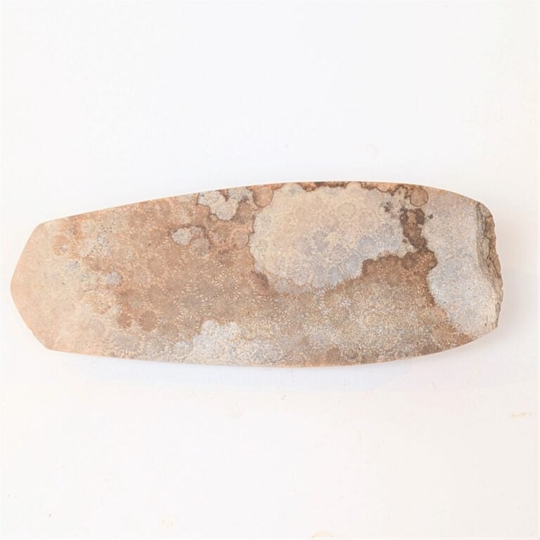 Hache-herminette à profil caréné et lame concave. - Corail fossilisé. - Indonés…