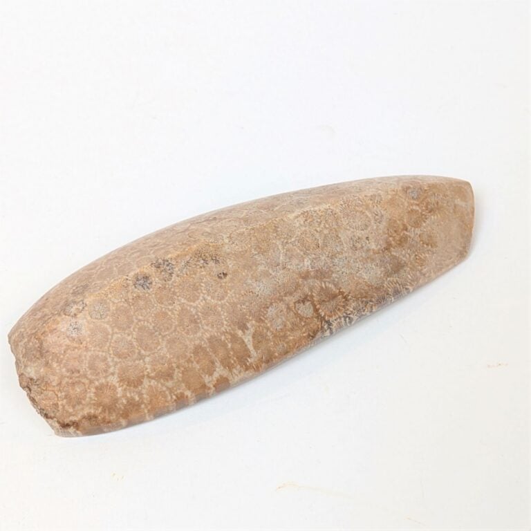 Hache-herminette à profil caréné et lame concave. - Corail fossilisé. - Indonés…
