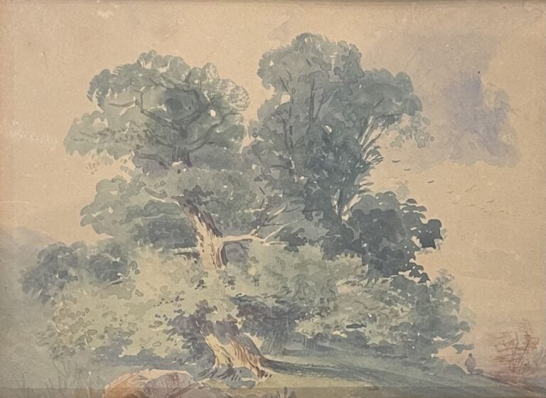 Ecole XXe - L'arbre - Aquarelle sur papier - 16 x 20.5 cm