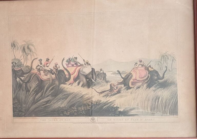 Thomas WILLIAMSON (act.c.1800 - c.1835), d'après - La chasse au loup - Un tigre…