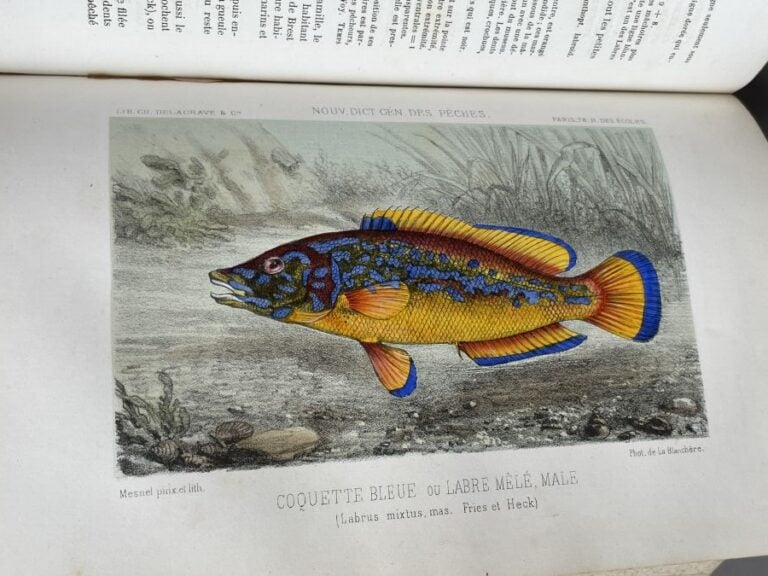 LA BLANCHERE (H. de). Dictionnaire général des pêches. Paris, Ch. Delagrave et…